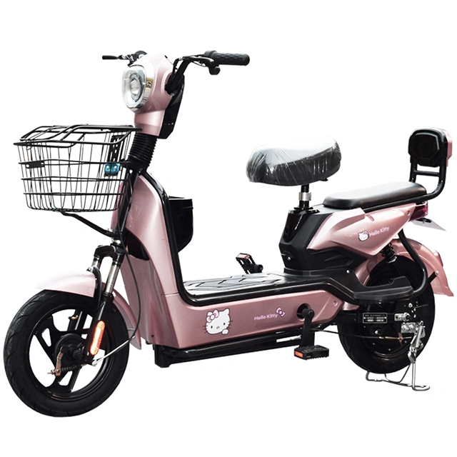 Fashion Electric Bike For Men And Women