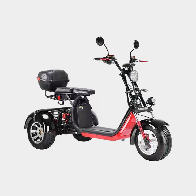 Three Wheels Electric Motorcycle Model With Eec Certification And Three Disc Big Wheel