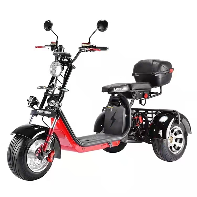 Three Wheels Electric Motorcycle Model With Eec Certification And Three Disc Big Wheel