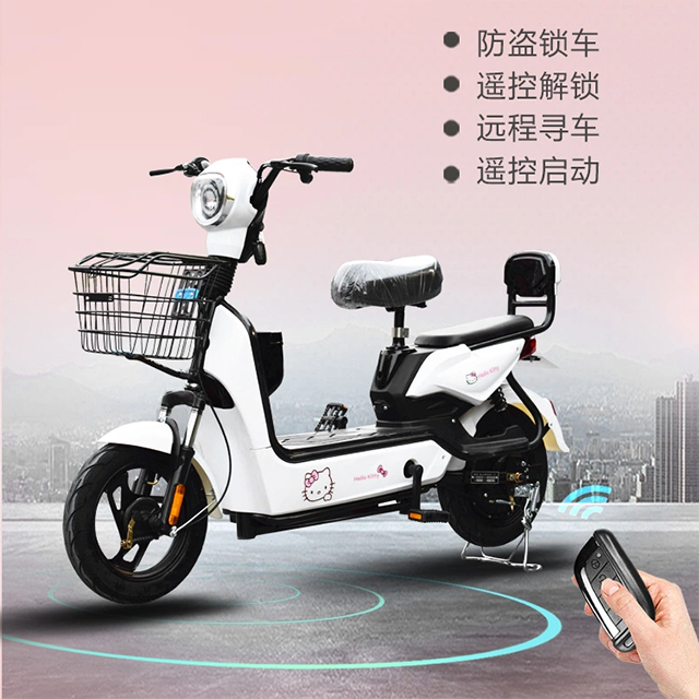 Fashion Electric Bike For Men And Women