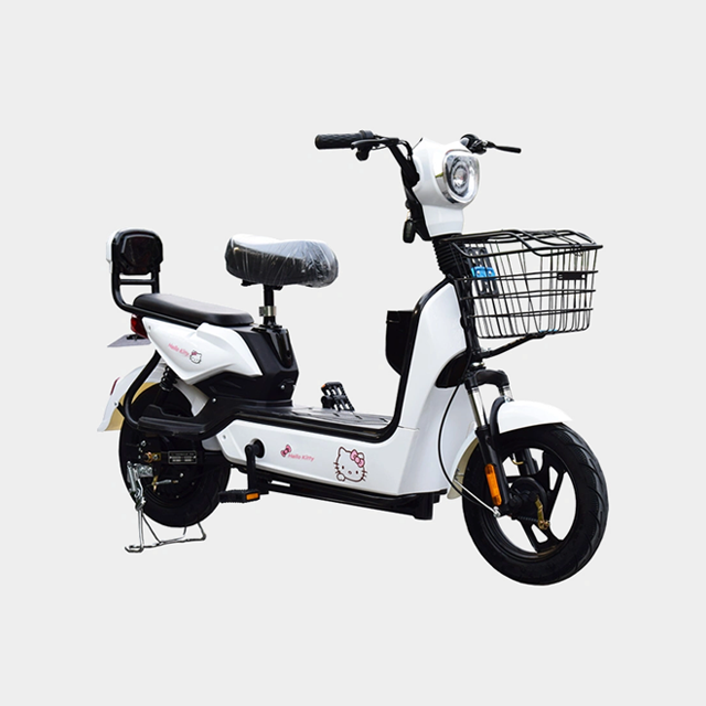 Fashion Electric Bike For Men And Women