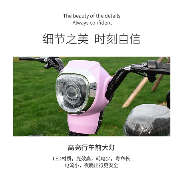 Fashion Electric Bike For Men And Women