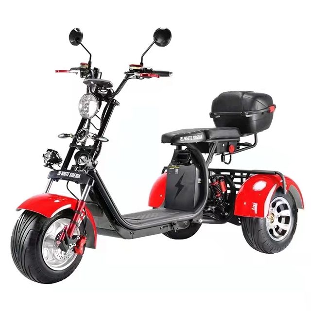 Three Wheels Electric Motorcycle Model With Eec Certification And Three Disc Big Wheel