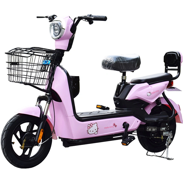 Fashion Electric Bike For Men And Women